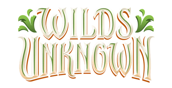 Wilds Unknown Disney Lorcana set logo